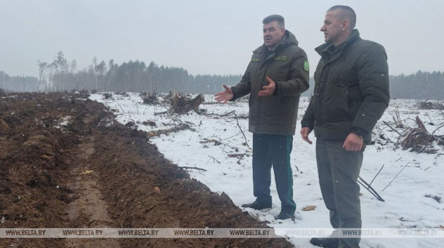 Лес - в идеальное состояние. Кулик обозначил задачи на Год благоустройства