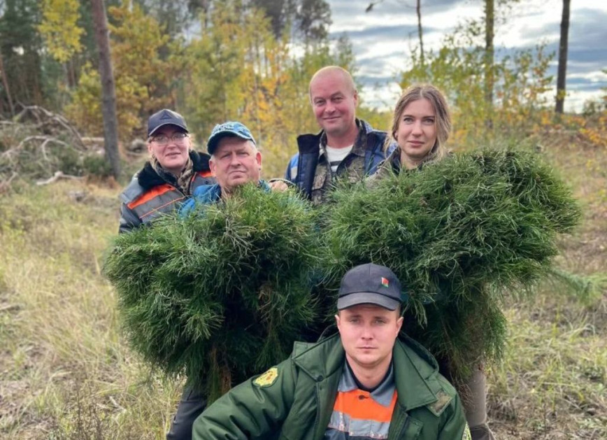 Акцябрскi лясгас запрашае Вас!