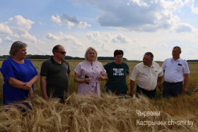 На базе ДСГУ "Акцябрская сортавыпрабавальная станцыя" прайшоў раённы семінар для кіраўнікоў сельгасарганізацый
