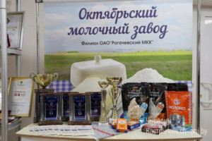 Передвижная областная выставка «В единстве народа – сила страны», посвященная истории и современности Беларуси, представлена в Октябрьском районе